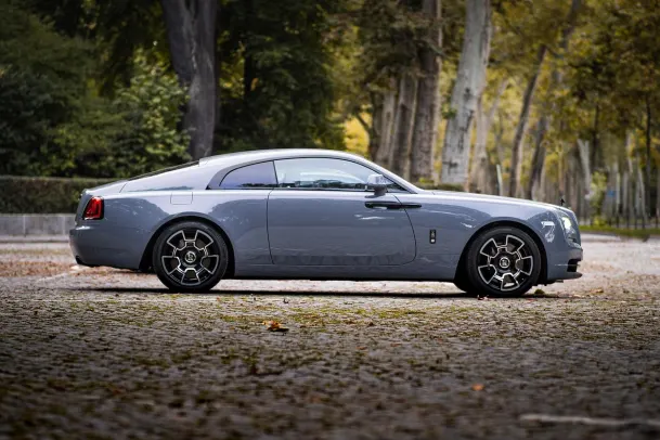 Wolfy Casino Application Android/iOS